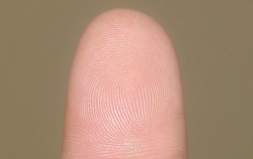 食指指纹显露爱情观,手指上的纹路-“圈圈”它有什么含义图1