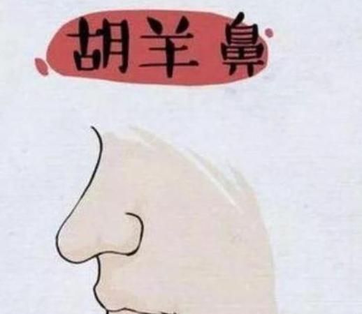 鼻子怎么看财运图解