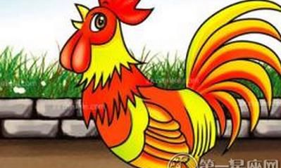 93属鸡几月的是凤凰命属鸡一九九三年的鸡是什么色的鸡