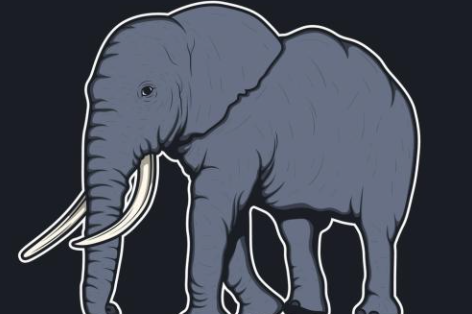 什么的大象形容词,什么的大象 什么是大象补充词语二年级图4