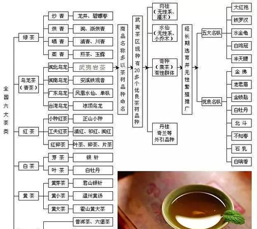 茶汤颜色分类的茶类