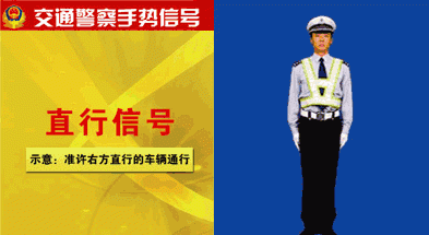 变道信号的警察手势,交警手势大全及解释图8