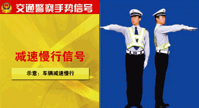 变道信号的警察手势,交警手势大全及解释图13