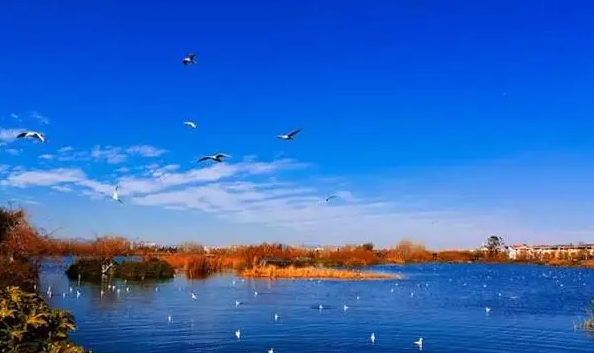 云贵高原最大的湖泊,云贵高原上最大的湖是什么图3