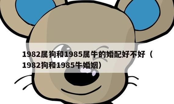 85年属牛女的命运婚姻