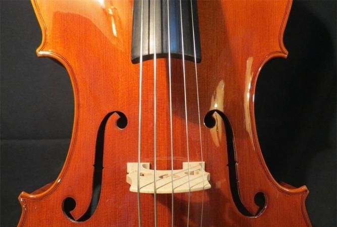 大提琴c,g,d,a4根弦之间间隔距离是多少毫米的