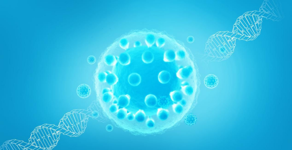 怎么利用自然科学逆转命运,中国生命科学研究新突破实现了怎样的“逆转”图3