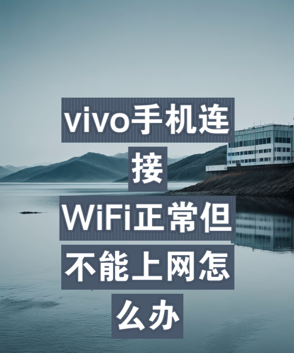 手机不能上网wifi正常,vivo手机连接wifi不能上网怎么办图1