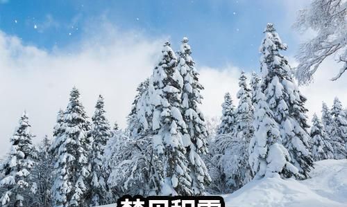 梦见厚厚大雪是什么预兆