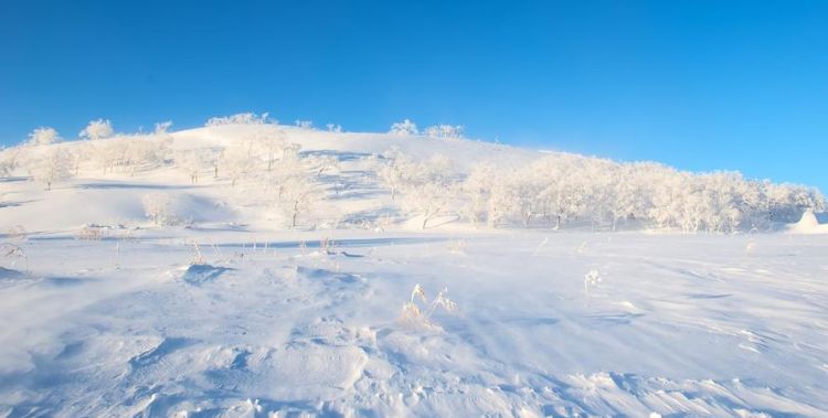 梦见下了好厚的雪