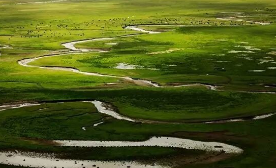 湿地又称为地球之,湿地保护是环境保护的重要领域湿地被称为地球的心地球的肺还是地 ...图1